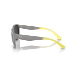 0AX4135S 81806G P21a shad lt copy scaled