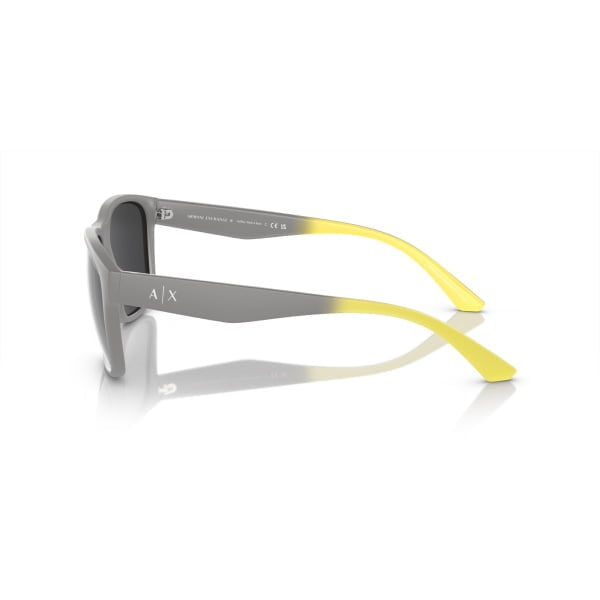 0AX4135S 81806G P21a shad lt copy scaled