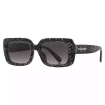 COACH 0HC8380U 55208G