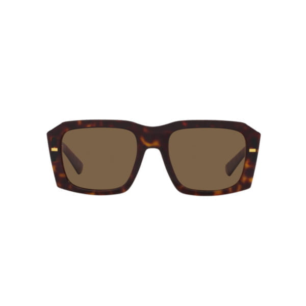 dolce gabbana dg 4430 502 73 6