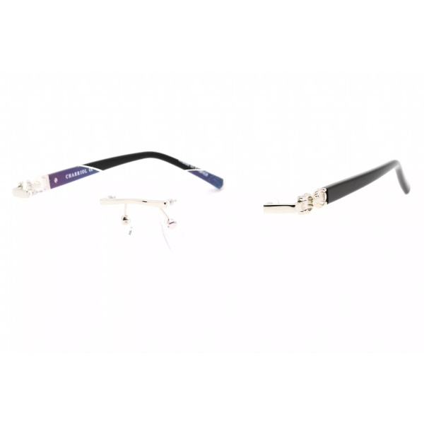 s l1600 2024 07 29T160055.106